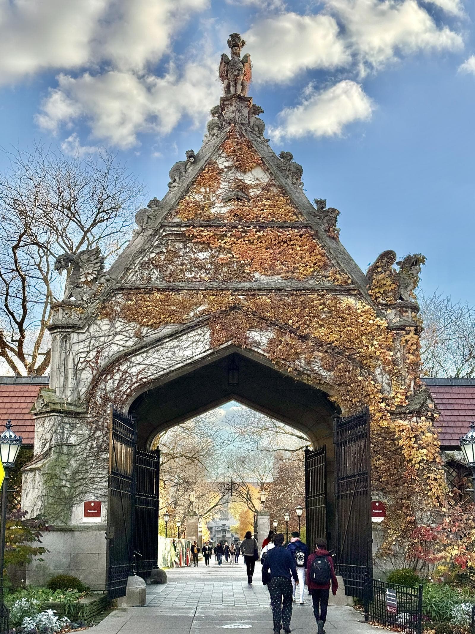 University of Chicago campus